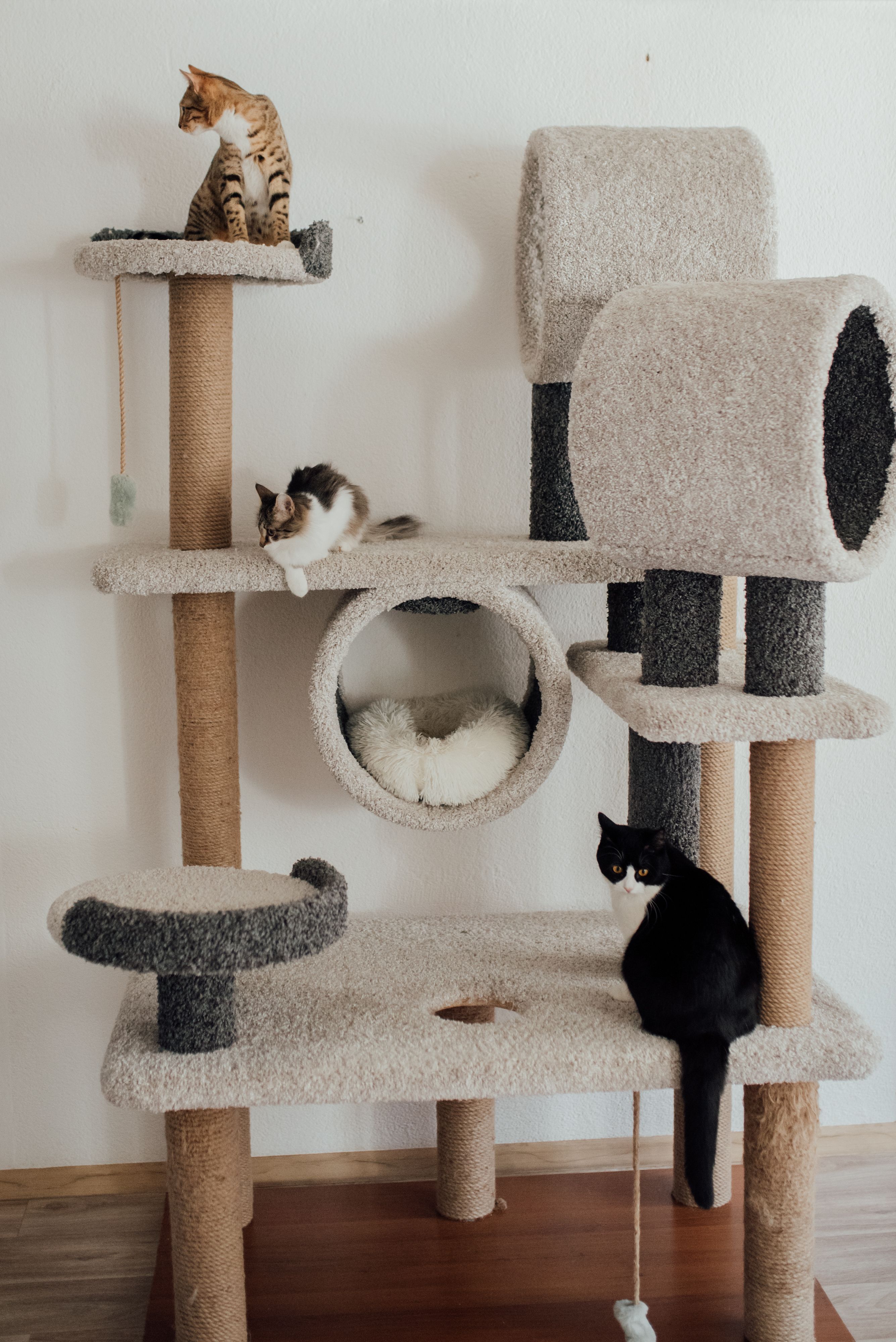 VilasPashu Griffoir pour Chat avec coussin amovible — sisal et coton biologique